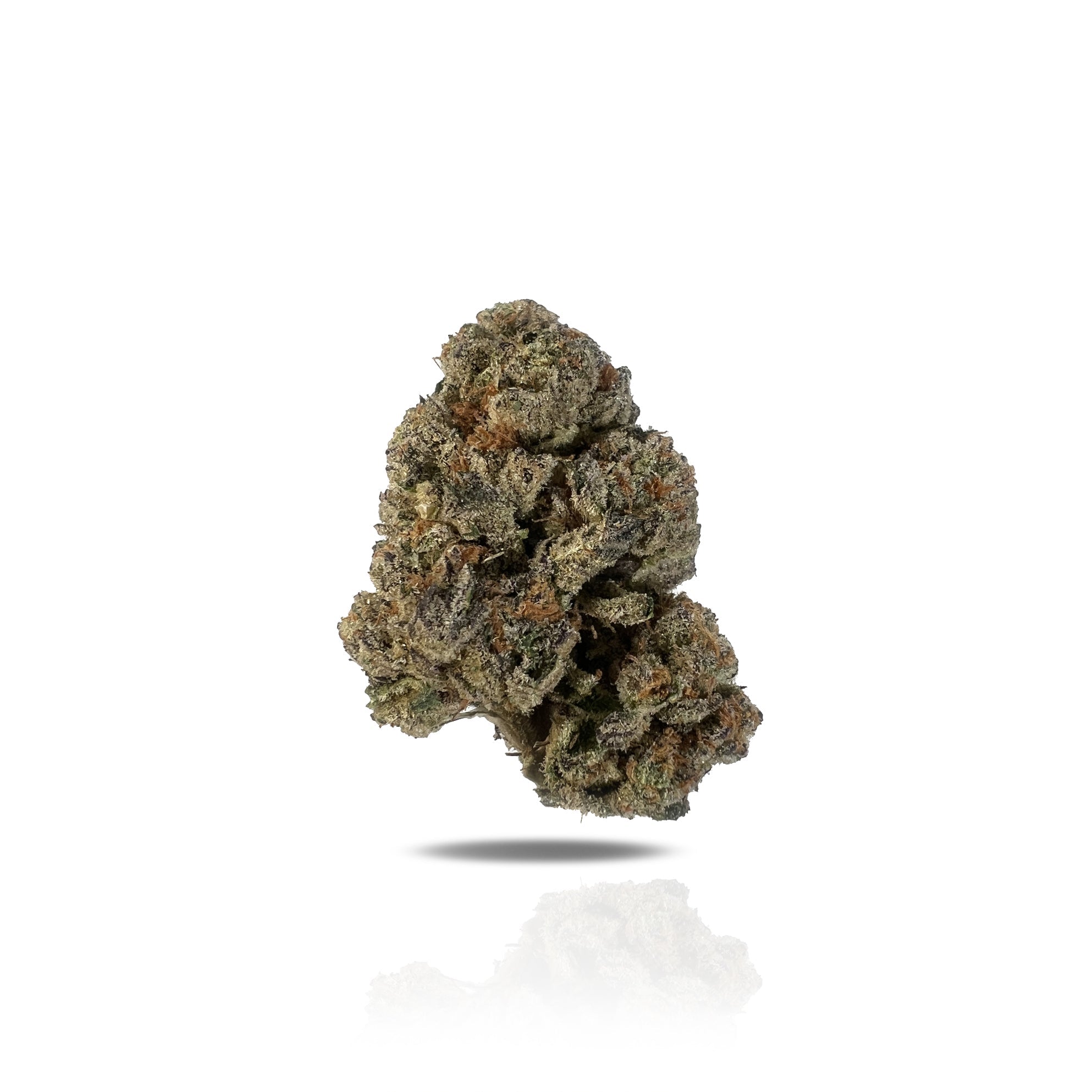 PUFFY High Society is a premium hybrid THCa strain born from the potent cross of GMO and Biscotti. This luxurious cultivar offers a richly earthy and woody aroma, evoking the scent of fresh forest soil and aged cedar, layered with subtle notes of warm spice. Its flavor profile is smooth and indulgent creamy with a nutty finish that lingers on the tongue. Visually, the buds are dense and frosty, showcasing deep purple and green hues, vibrant orange hairs, and a thick, sparkling coat of trichomes. Consumers o