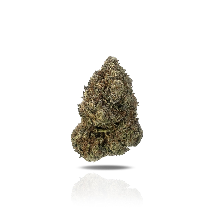 PUFFY Ice Breaker THCA is a perfectly balanced hybrid, crafted from a legendary blend of Skunk, Northern Lights, Shiva, and Afghani Landrace genetics. This powerhouse strain delivers a smooth and complex flavor profile, featuring sweet and floral kush notes, complemented by hints of spicy hash and a subtle woody pine finish. The aroma mirrors the taste, with a rich earthy depth that intensifies as the buds are broken apart. Visually, it’s just as impressive, showcasing long, dense, arrowhead-shaped olive-gr