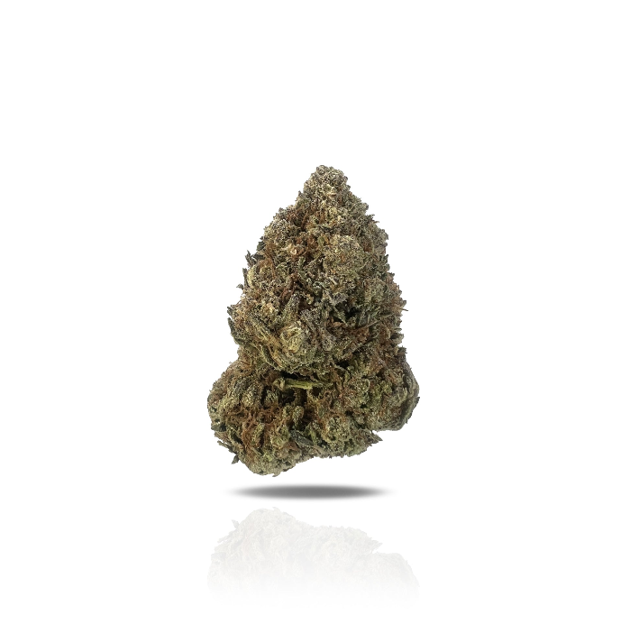 PUFFY Ice Breaker THCA is a perfectly balanced hybrid, crafted from a legendary blend of Skunk, Northern Lights, Shiva, and Afghani Landrace genetics. This powerhouse strain delivers a smooth and complex flavor profile, featuring sweet and floral kush notes, complemented by hints of spicy hash and a subtle woody pine finish. The aroma mirrors the taste, with a rich earthy depth that intensifies as the buds are broken apart. Visually, it’s just as impressive, showcasing long, dense, arrowhead-shaped olive-gr