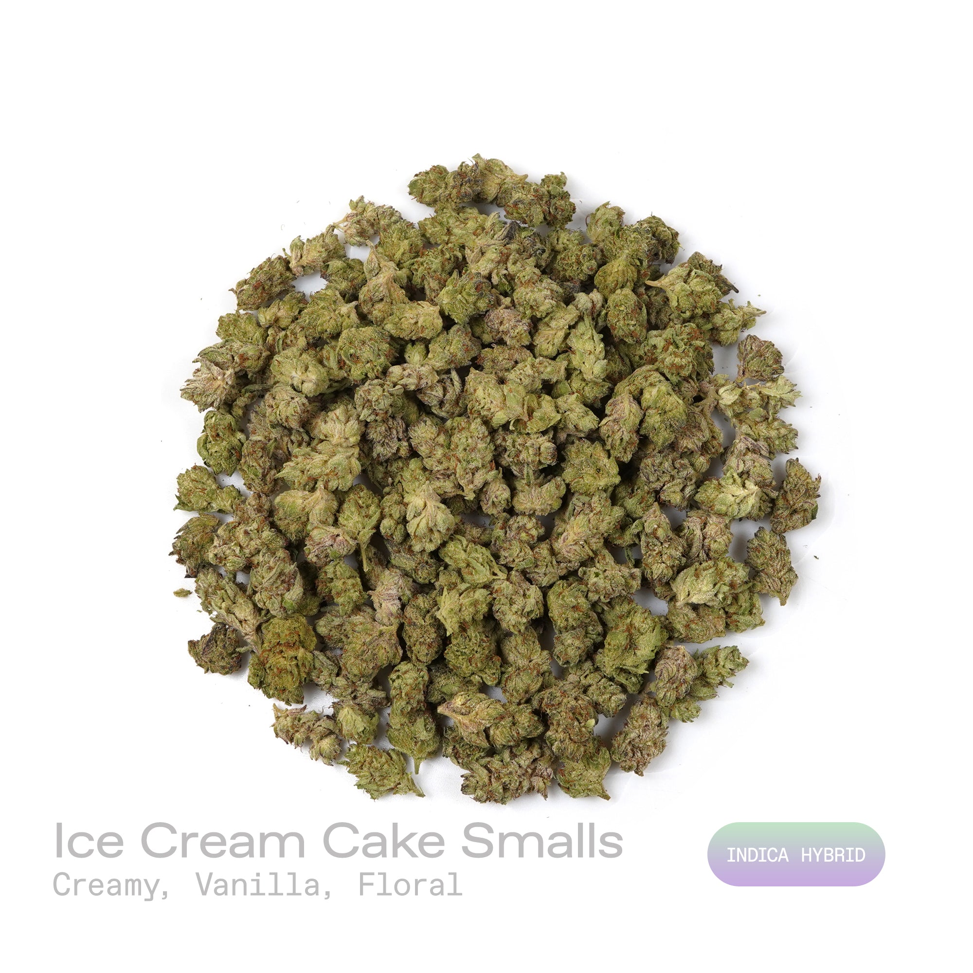 PUFFY Ice Cream Cake (smalls) is an Indica-dominant hybrid THCa strain, born from the potent cross between Wedding Cake and Gelato #33. The aroma unfolds with a rich, creamy sweetness, layered with warm vanilla notes and delicate floral undertones. Visually, its buds are dense and chunky, showcasing a vibrant mix of green and purple hues with occasional touches of lavender, accented by fiery orange pistils. Consumers often report an experience that begins with a euphoric, uplifting cerebral high, gradually 