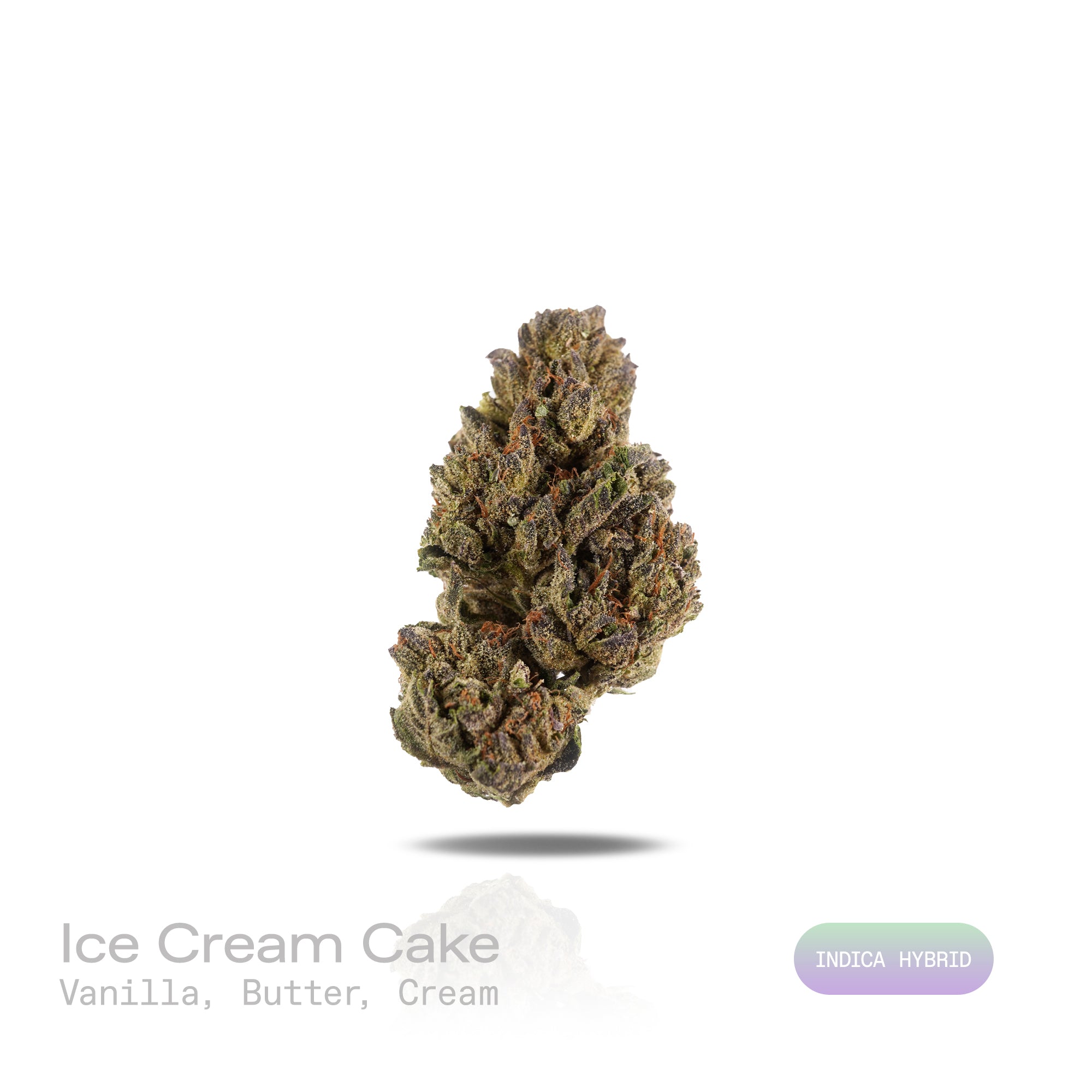 PUFFY Ice Cream Cake is an Indica-dominant hybrid THCa strain, born from the potent cross between Wedding Cake and Gelato #33. The aroma unfolds with rich, comforting notes of sweet vanilla, warm buttery undertones, and a smooth, creamy finish that evokes a decadent, dessert-like essence. Visually, its buds are dense and chunky, showcasing a vibrant mix of green and purple hues with occasional touches of lavender, accented by fiery orange pistils. Consumers often report an experience that begins with a euph
