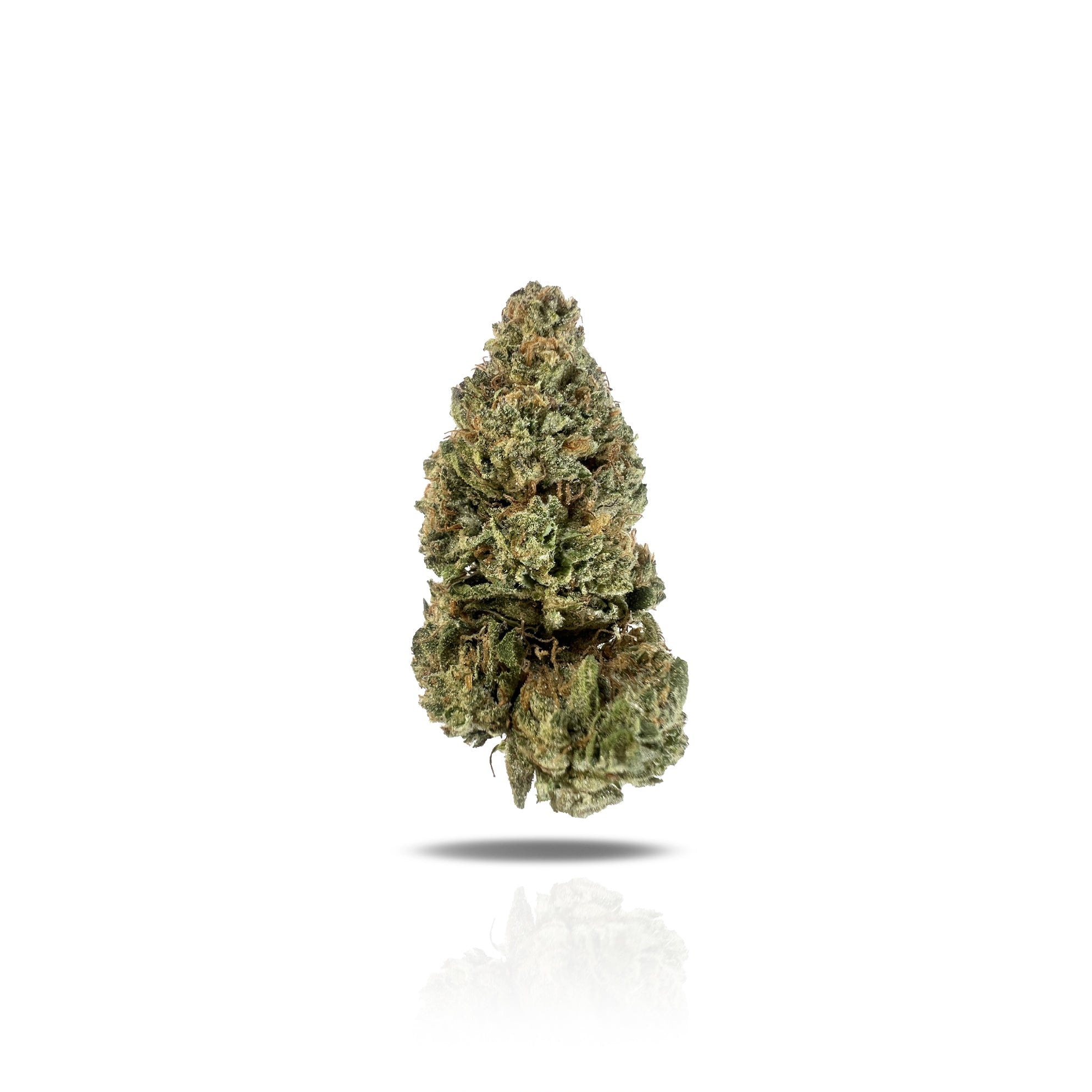 PUFFY Ice Cream Cookies is a indica-dominant hybrid THCa strain, created from the celebrated cross of Gelato 33 and Wedding Cake. It delivers a rich, creamy vanilla flavor with buttery mint notes and a hint of sour citrus, while its aroma is a rich blend of sweet creaminess with candy-like notes that linger on the nose. The buds are dense and frosty, displaying a vibrant forest green color with deep purple undertones that become more prominent in cooler growing conditions. Consumers often describe the exper