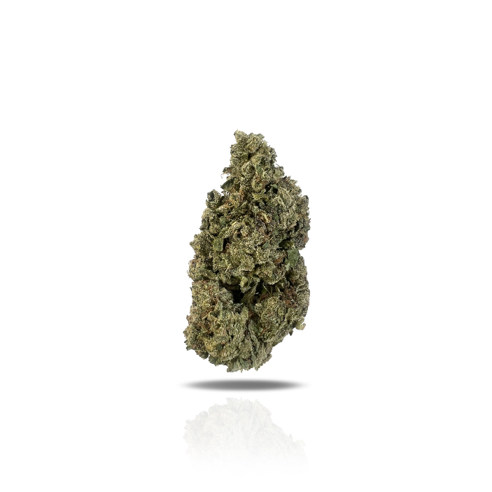 PUFFY Ice Queen is a sativa-dominant hybrid THCa strain, born from the legendary pairing of White Widow and Cinderella 99. Aroma is creamy and smooth, layered with bright tropical fruit notes and a sweet candy-like finish, evoking the scent of a tropical dessert with a luscious, indulgent twist. The flavor is equally rich, creamy and smooth with a velvety mouthfeel. Visually, the buds are light and fluffy with rounded clusters, dark olive-green hues, neon highlights, and a heavy coat of frosty white trichom