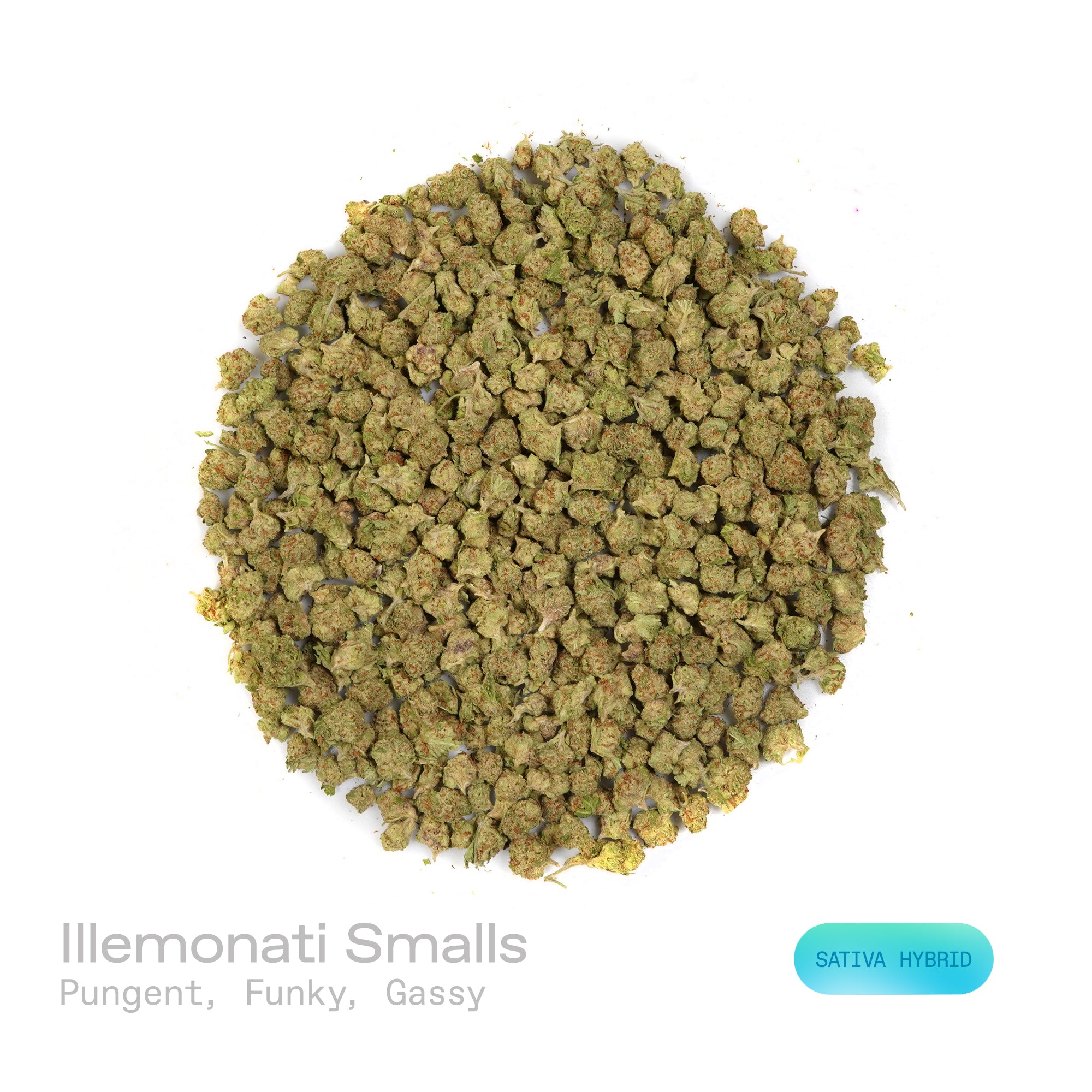 PUFFY Illemonati (smalls) is a sativa-dominant hybrid THCa strain born from the flavorful union of Gelonade and Biscotti. The aroma is intensely pungent, with funky undertones and a distinct gassy edge that immediately commands attention. Visually, medium to large dense conical buds display a blend of forest and lime greens with occasional purple swirls, coated in glistening trichomes and accented by fiery orange pistils. Consumers often describe the experience as bright and invigorating, sparking creativit