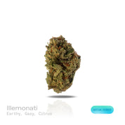 PUFFY Illemonati is a sativa-dominant hybrid THCa strain born from the flavorful union of Gelonade and Biscotti. The aroma is a rich blend of earthy and gassy notes, brightened by a sharp, refreshing hint of citrus. Visually, medium to large dense conical buds display a blend of forest and lime greens with occasional purple swirls, coated in glistening trichomes and accented by fiery orange pistils. Consumers often describe the experience as bright and invigorating, sparking creativity, sharpening focus, an