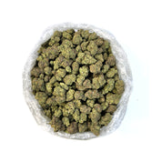 PUFFY's Italian Ice is a hybrid THCa hemp strain made from a genetic cross of Gelato 45 x Forbidden fruit. Users reported that this strain invokes a pleasant euphoric effect and flavors of creamy berries, citrus, tobacco, and savory nut.