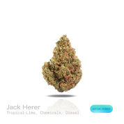 PUFFY Jack Herer is a sativa-dominant hybrid THCa strain, bred from a legendary three‑way genetic cross of Northern Lights #5, Shiva Skunk, and Haze. The aroma is a bold blend of tropical lime, sharp chemicals, and pungent diesel, creating a striking and memorable sensory experience. Visually, dense green buds with purple hues and fiery orange pistils are coated in sticky trichomes. Consumers often report euphoric, energetic, focused, and uplifting sensations, along with potential relief from stress and anx