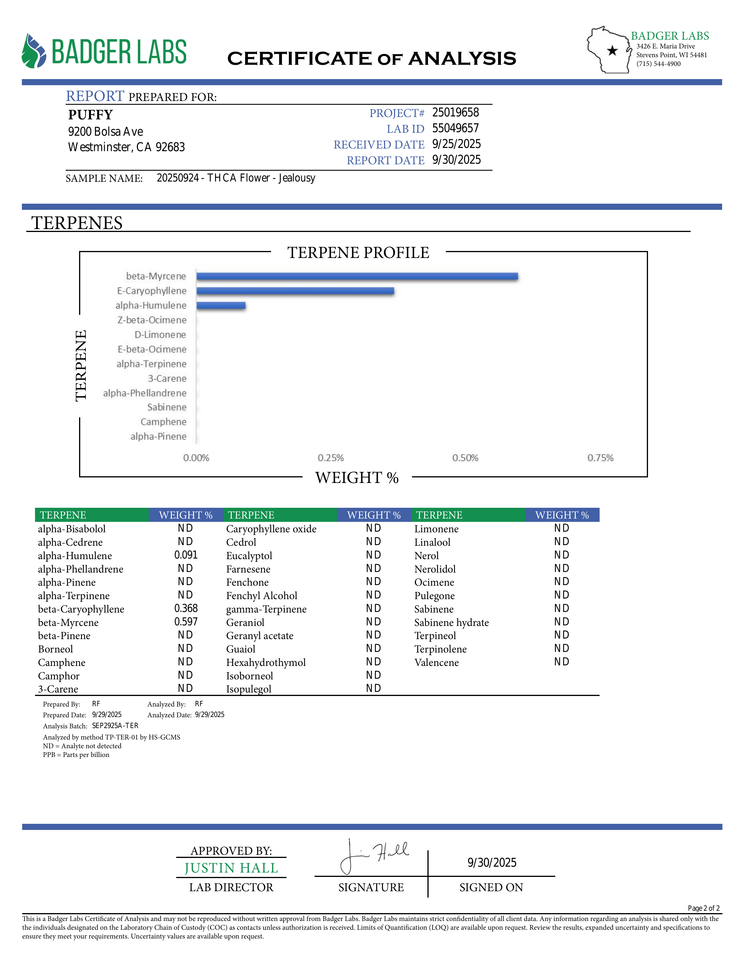 PUFFY Jealousy is a balanced hybrid THCa strain, expertly crafted from a potent cross between Sherbet Bx1 and Gelato 41. The aroma bursts with a funky blend of sharp cheese and pungent garlic, creating a bold, savory scent that instantly stands out. Visually striking, the dense buds display dark purple hues, vivid greens, and fiery orange pistils, all dusted with frosty trichomes. Consumers often note a balanced experience that eases stress and lifts the mood while blending mental relaxation with energetic