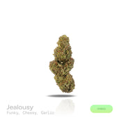 PUFFY Jealousy is a balanced hybrid THCa strain, expertly crafted from a potent cross between Sherbet Bx1 and Gelato 41. The aroma bursts with a funky blend of sharp cheese and pungent garlic, creating a bold, savory scent that instantly stands out. Visually striking, the dense buds display dark purple hues, vivid greens, and fiery orange pistils, all dusted with frosty trichomes. Consumers often note a balanced experience that eases stress and lifts the mood while blending mental relaxation with energetic