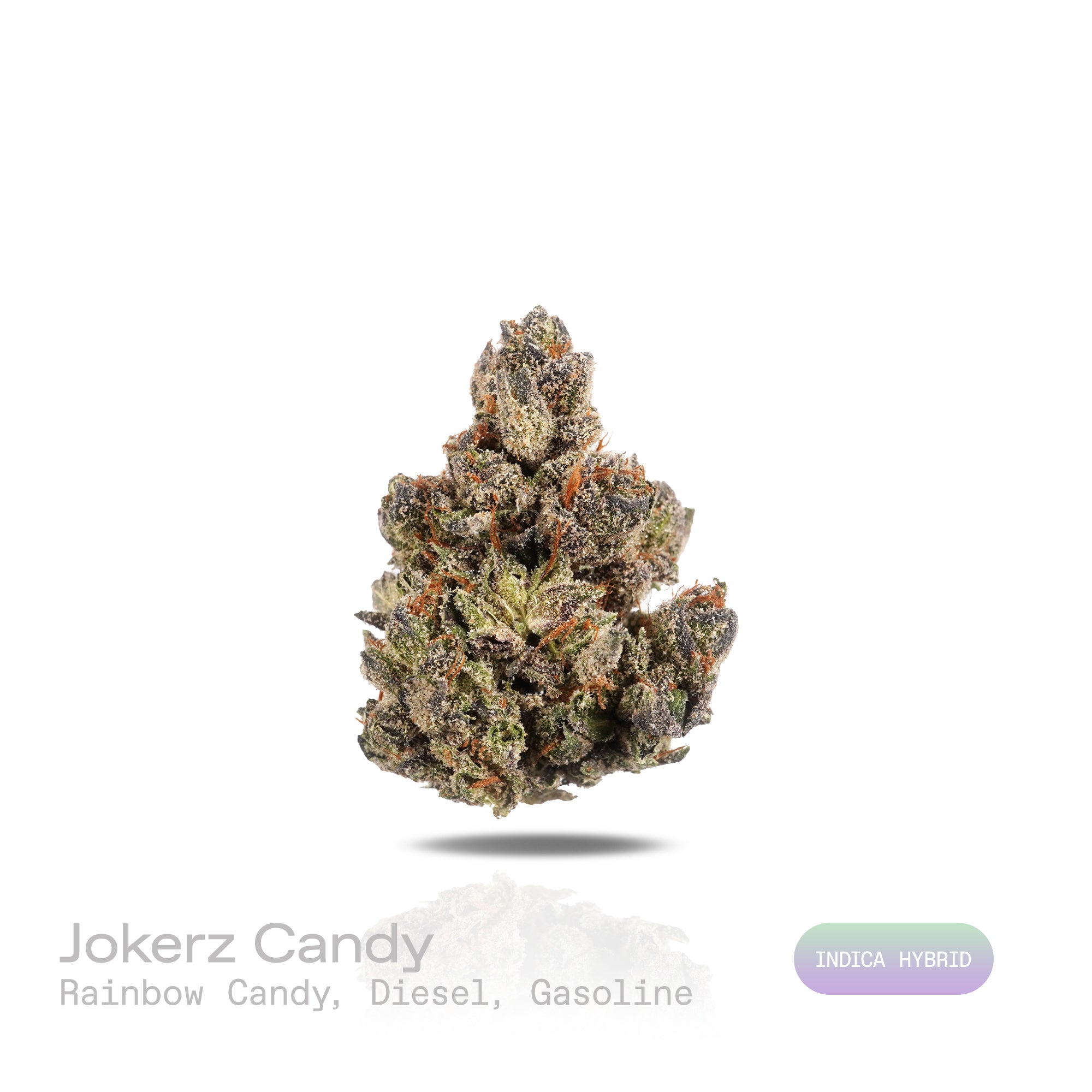 PUFFY Jokerz Candy is an indica-dominant hybrid THCa strain, born from the flavorful cross between Gummiez and Grape Gasoline. The aroma is a vivid blend of sweet rainbow candy, sharp diesel, and pungent gasoline, creating a bold and enticing scent that immediately captures attention. Visually, the dense buds display forest-green tones with deep purple hues, vibrant orange pistils, and a frosty trichome coating. Consumers often describe the effects as euphoric and uplifting, promoting happiness and mental c