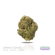 PUFFY Jokerz Candy is an indica-dominant hybrid THCa strain, born from the flavorful cross between Gummiez and Grape Gasoline. The aroma bursts with a bold fusion of sweet grape, pungent diesel, and earthy herbal notes, delivering a distinctive and captivating scent. Visually, the dense buds display forest-green tones with deep purple hues, vibrant orange pistils, and a frosty trichome coating. Consumers often describe the effects as euphoric and uplifting, promoting happiness and mental clarity, followed b