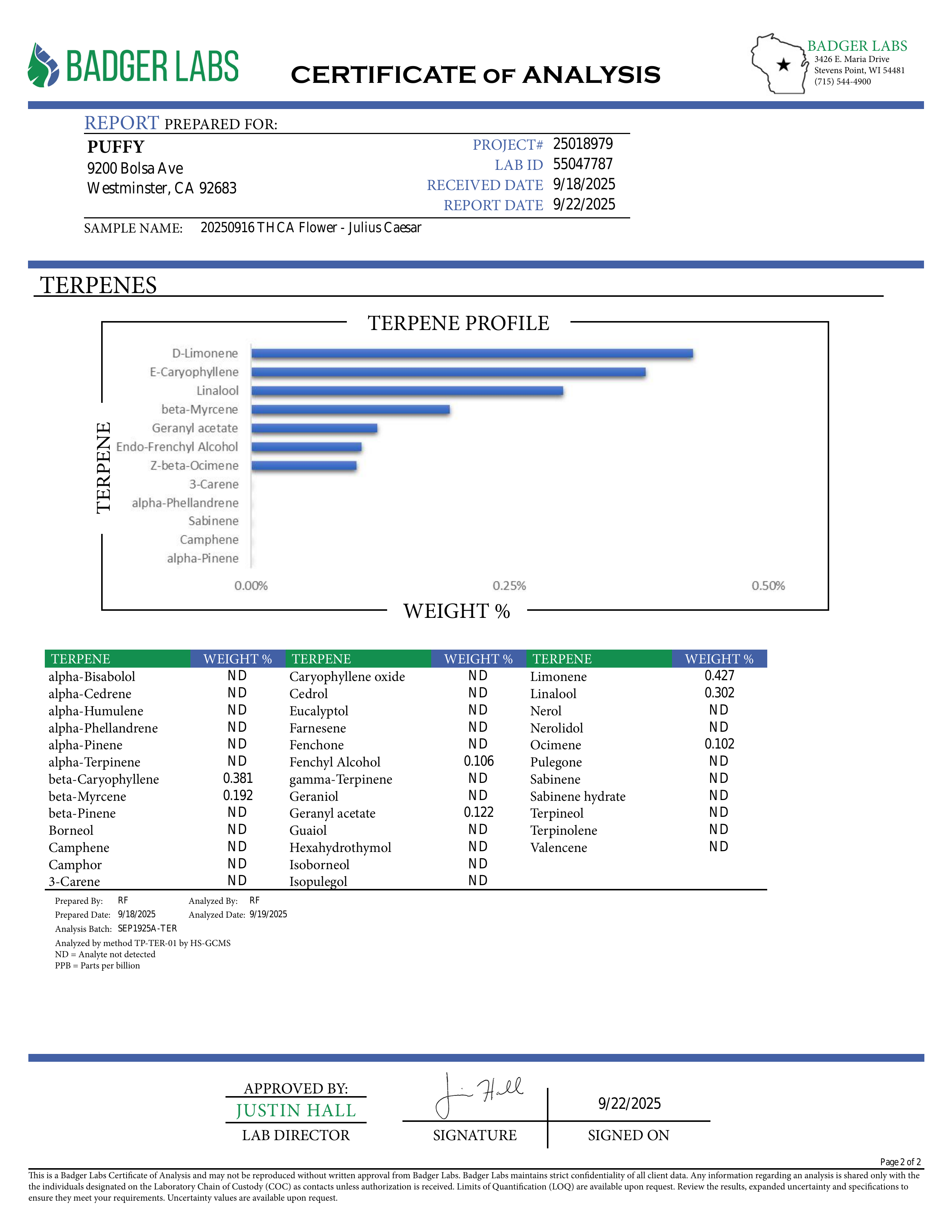 PUFFY Julius Caesar is a balanced hybrid THCa strain, born from the renowned cross of SoCal Master Kush and SFV OG Kush. Aroma is earthy and grounding, lifted by a bright splash of citrus for a refreshing finish. Visually striking, the dense buds are frosted with thick trichome coverage, accented by purple-tinged sugar leaves and vivid orange pistils. Consumers often report a bright, euphoric lift that smoothly transitions into soothing relaxation, making it a versatile choice for both social and unwinding 