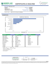 PUFFY Kiwi Strawberry is a sativa-dominant  hybrid THCa strain, most reliable sources note that its exact lineage remains largely unverified. The aroma unfolds with sweet strawberry notes, layered with delicate floral undertones and a subtle earthy richness. Visually, dense forest green buds with purple hues and fiery orange pistils are coated in sticky trichomes. Consumers often report an uplifting, energizing cerebral buzz that sparks euphoria and sociability, promoting chatty, inspired, and creative mood