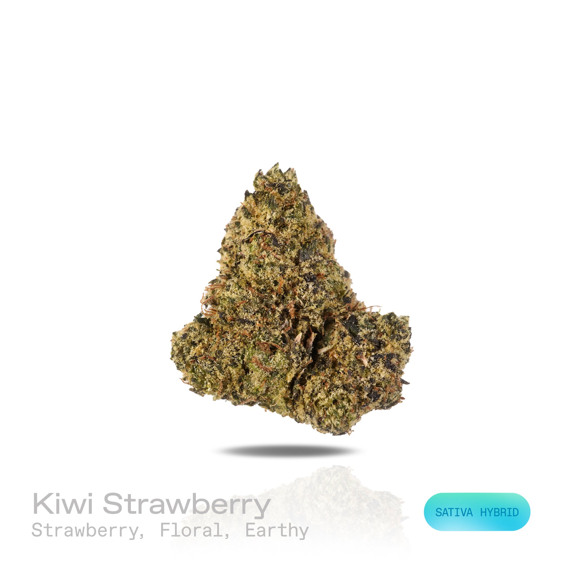 PUFFY Kiwi Strawberry is a sativa-dominant  hybrid THCa strain, most reliable sources note that its exact lineage remains largely unverified. The aroma unfolds with sweet strawberry notes, layered with delicate floral undertones and a subtle earthy richness. Visually, dense forest green buds with purple hues and fiery orange pistils are coated in sticky trichomes. Consumers often report an uplifting, energizing cerebral buzz that sparks euphoria and sociability, promoting chatty, inspired, and creative mood