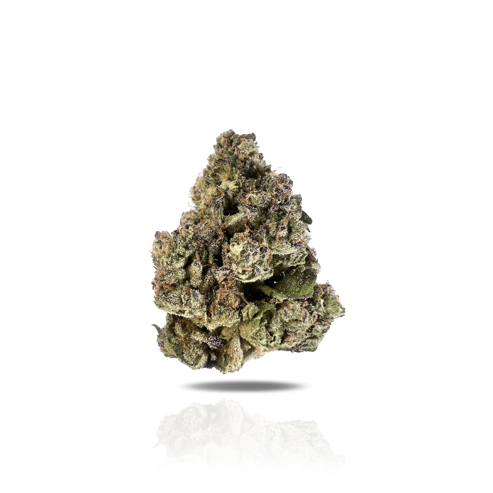 PUFFY LA Push Pop is a hybrid THCa strain created from a cross between LA Kush Cake and Push Pop. It offers a sweet, dessert-like flavor profile with notes of sugary berries, creamy vanilla, and subtle diesel undertones. The aroma is rich and inviting, featuring sweet vanilla butter with hints of citrus and spice, thanks to its unique terpene blend. Visually, the strain stands out with dense, resin-coated buds in vibrant light green shades, highlighted by fiery orange pistils. Consumers often report a balan