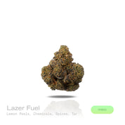 PUFFY Lazer Fuel is a powerful hybrid THCa strain, expertly crafted from the cross of Gary Payton and Falcon 9. The aroma is a complex and striking blend of zesty lemon peels, sharp chemical undertones, warm spices, and earthy notes of tar. Visually dense and fluffy, this pepper-shaped bud features forest green hues, bright orange pistils, and a thick, frosty coating of chunky white trichomes that make it truly unique. Consumers often report an immediate cerebral uplift that sparks creativity and sociabilit