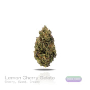 PUFFY Lemon Cherry Gelato is an indica-dominant  hybrid THCa strain, expertly crafted from a potent cross between Sunset Sherbet and Girl Scout Cookies. The aroma is a delightful blend of cherry, sweet, and creamy notes, creating an inviting and luscious scent that instantly captivates the senses. Visually, buds are dense and frosty, featuring deep green and purple hues with bright orange pistils and a thick coating of sparkling trichomes. Consumers often report an initial wave of uplifted, happy euphoria, 