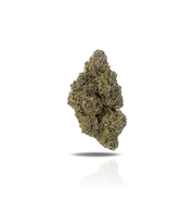 PUFFY Lemon Cherry Gelato is a legendary hybrid THCa strain, expertly crafted from a potent cross between Sunset Sherbet and Girl Scout Cookies. The aroma bursts with sour citrus and fruity notes, softened by earthy, gassy undertones. Its flavor blends zesty lemon, sweet cherry, and berry with a smooth, creamy gelato-like finish. Visually, buds are dense and frosty, featuring deep green and purple hues with bright orange pistils and a thick coating of sparkling trichomes. Consumers often report an initial w