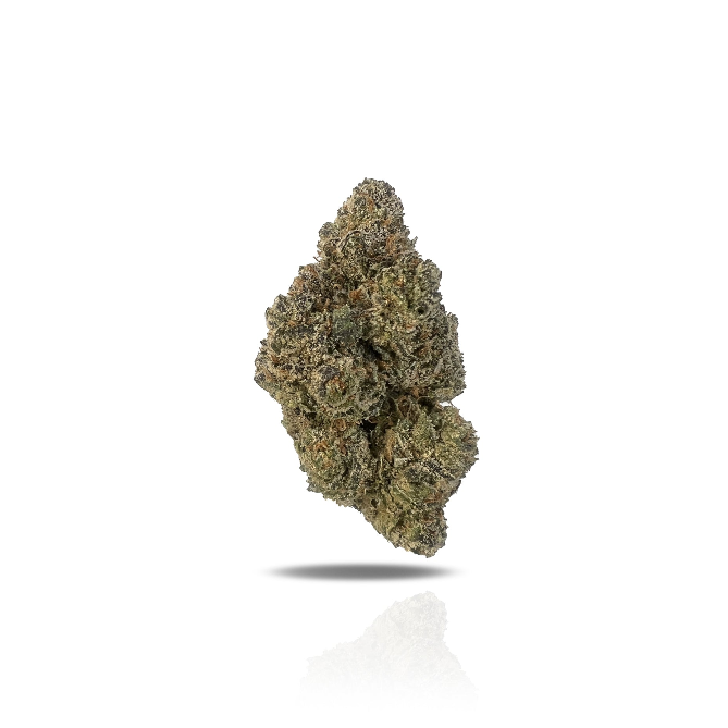 PUFFY Lemon Cherry Gelato is a legendary hybrid THCa strain, expertly crafted from a potent cross between Sunset Sherbet and Girl Scout Cookies. The aroma bursts with sour citrus and fruity notes, softened by earthy, gassy undertones. Its flavor blends zesty lemon, sweet cherry, and berry with a smooth, creamy gelato-like finish. Visually, buds are dense and frosty, featuring deep green and purple hues with bright orange pistils and a thick coating of sparkling trichomes. Consumers often report an initial w