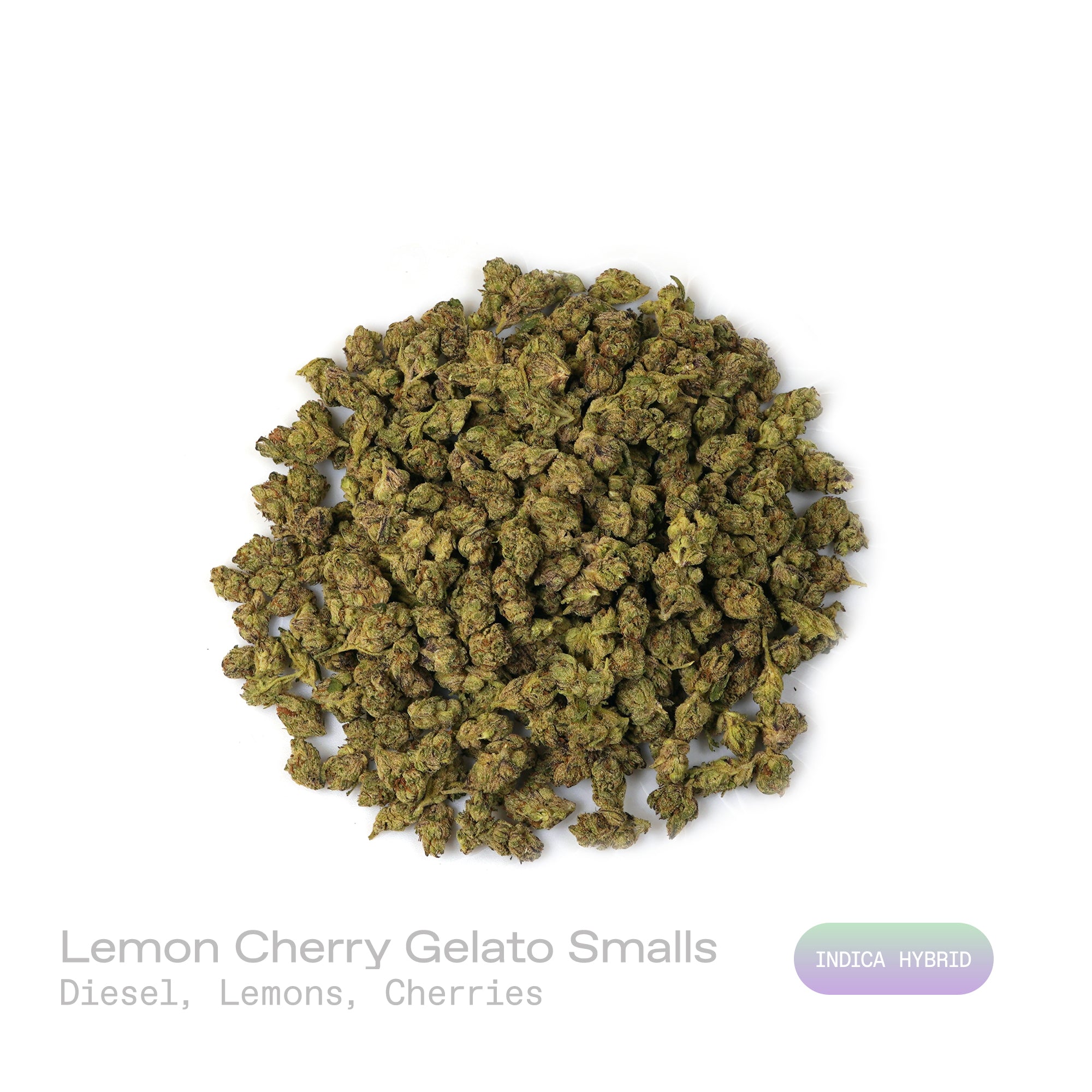 PUFFY Lemon Cherry Gelato (smalls) is an indica-dominant  hybrid THCa strain, expertly crafted from a potent cross between Sunset Sherbet and Girl Scout Cookies. The aroma blends sharp, tangy notes of diesel with bright citrusy hints of lemon and subtle, sweet undertones of cherry, creating a bold and intriguing fragrance. Visually, buds are dense and frosty, featuring deep green and purple hues with bright orange pistils and a thick coating of sparkling trichomes. Consumers often report an initial wave of 