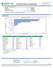 PUFFY Lemon Gushers is an indica-dominant hybrid THCa strain, born from the renowned cross of Gelato 41 and Triangle Kush. The aroma is a delightful blend of sweet candy and zesty lemon‑berry notes, grounded by subtle earthy undertones. Visually, the buds are dense and light green with hints of purple, accented by vibrant orange pistils and coated in a sparkling layer of trichomes. Consumers often report a rapid uplift in mood and a sense of mental clarity, followed by a warm, relaxing body sensation.