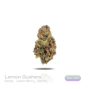 PUFFY Lemon Gushers is an indica-dominant hybrid THCa strain, born from the renowned cross of Gelato 41 and Triangle Kush. The aroma is a delightful blend of sweet candy and zesty lemon‑berry notes, grounded by subtle earthy undertones. Visually, the buds are dense and light green with hints of purple, accented by vibrant orange pistils and coated in a sparkling layer of trichomes. Consumers often report a rapid uplift in mood and a sense of mental clarity, followed by a warm, relaxing body sensation.

