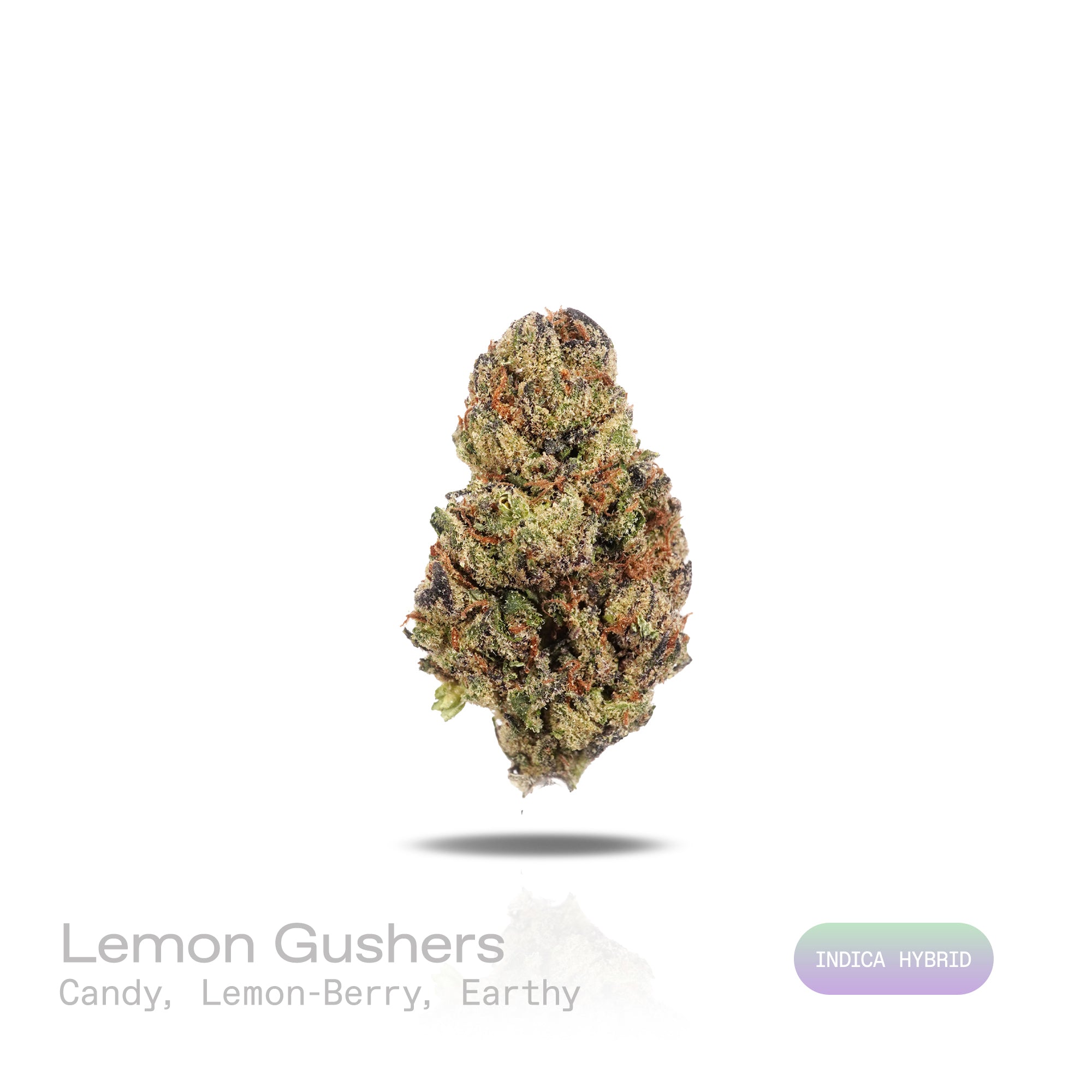 PUFFY Lemon Gushers is an indica-dominant hybrid THCa strain, born from the renowned cross of Gelato 41 and Triangle Kush. The aroma is a delightful blend of sweet candy and zesty lemon‑berry notes, grounded by subtle earthy undertones. Visually, the buds are dense and light green with hints of purple, accented by vibrant orange pistils and coated in a sparkling layer of trichomes. Consumers often report a rapid uplift in mood and a sense of mental clarity, followed by a warm, relaxing body sensation.
