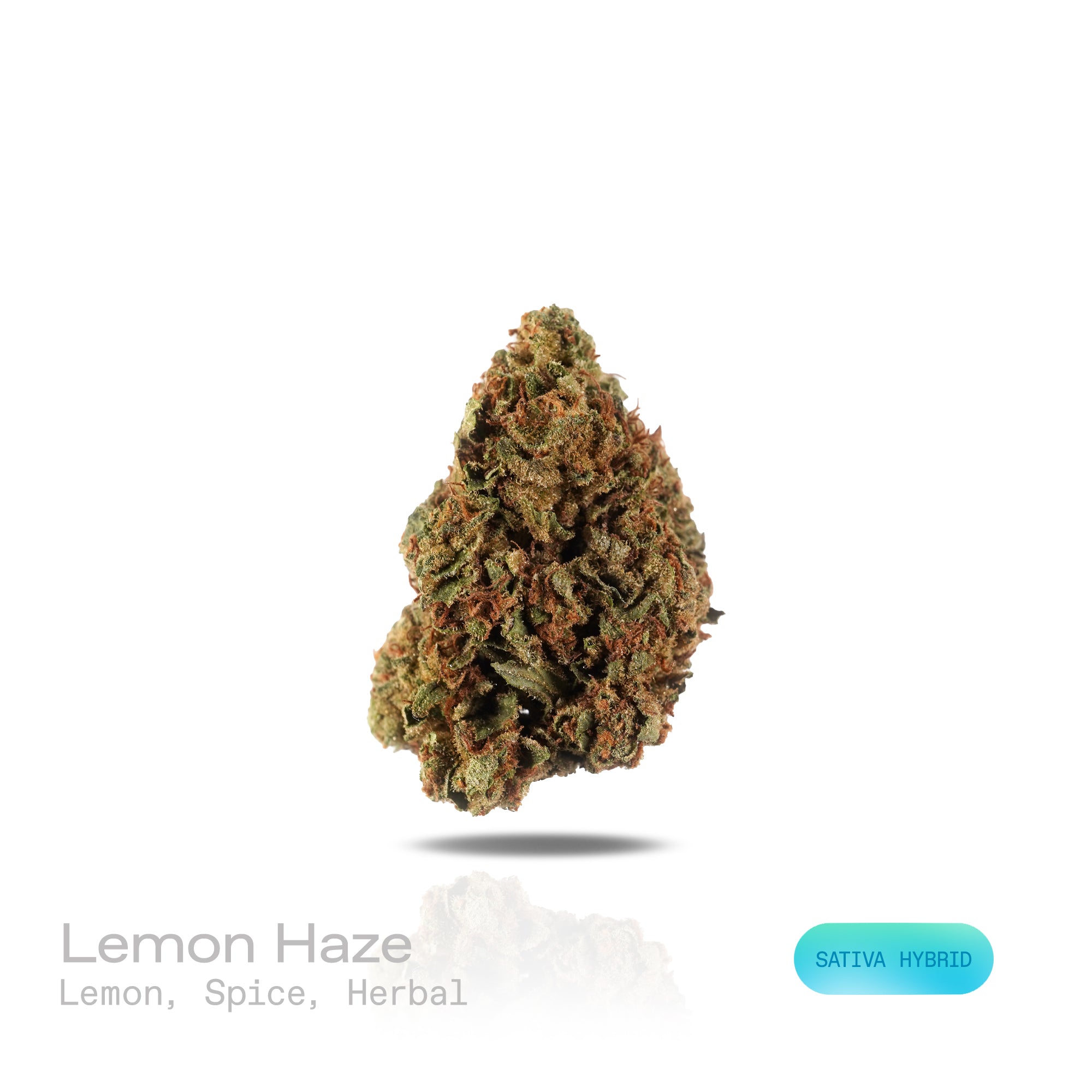 PUFFY Lemon Haze is a sativa-dominant hybrid THCa strain, born from a legendary cross of Lemon Skunk × Silver Haze. The aroma opens with bright, zesty lemon, layered with warm spice and subtle herbal notes that create a fresh yet complex sensory profile. Visually, dense lime-green buds with purple hues and fiery orange pistils are coated in sticky, glistening trichomes. Consumers often report uplifting euphoria and happiness, increased energy, sociability, and creativity, paired with clear-headed focus and 