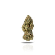 PUFFY Lemon Kush is a well-balanced hybrid THCa strain resulting from a cross between Master Kush and Lemon Joy. It boasts a bold and invigorating lemon aroma layered with earthy and herbal undertones. The flavor profile mirrors its scent sweet and tangy lemon notes accented by subtle hints of spice and earthiness. Visually, the buds are light green with yellow highlights, generously coated in frosty trichomes and accented by vibrant orange pistils. Consumers often report an uplifted mood and a sense of eup