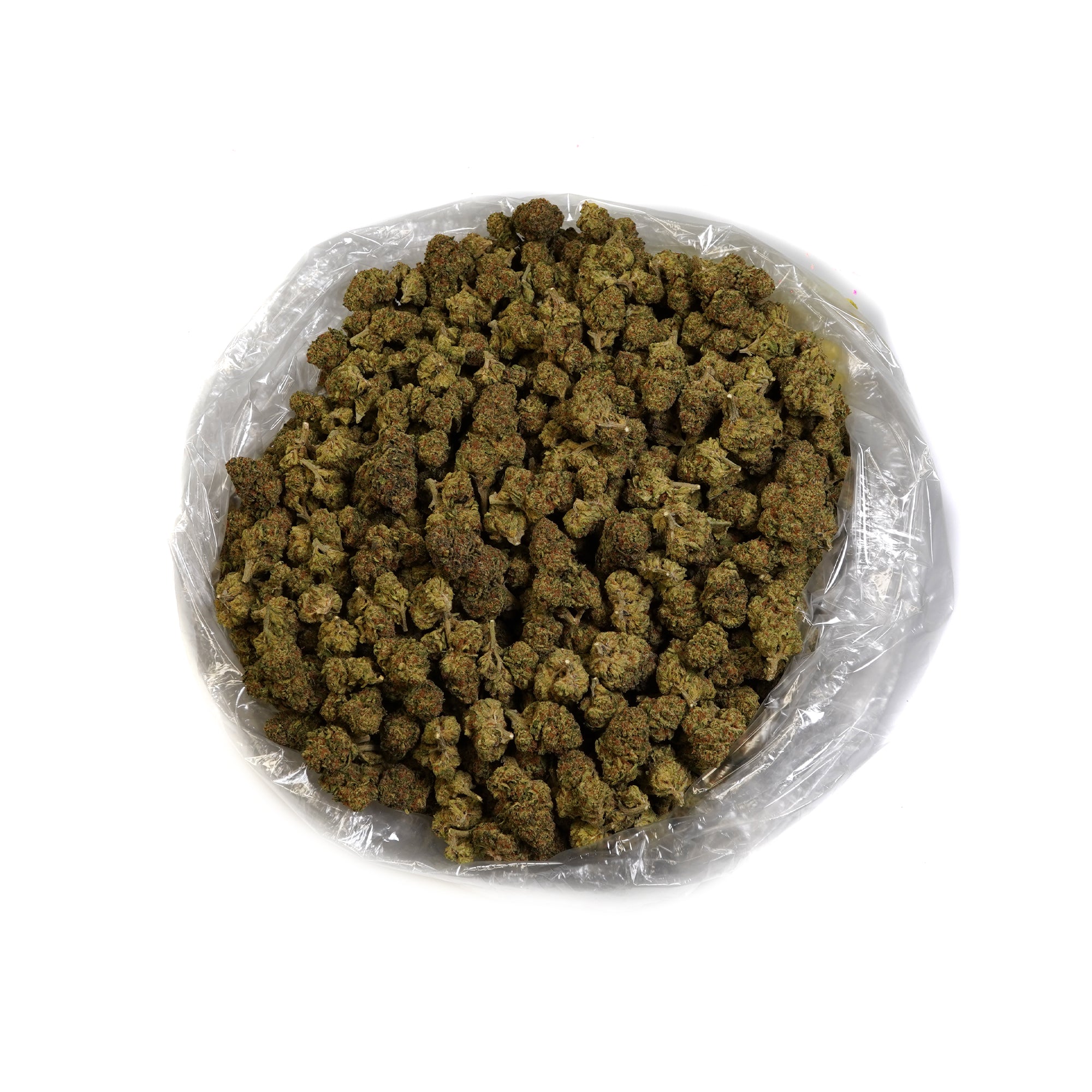 PUFFY Lemon Pie is a sativa-dominant hybrid THCa strain, born from the cross of Skunk #1 and Amnesia Haze. This strain boasts a sharp, sour aroma complemented by deep earthy undertones, creating a bold and invigorating scent profile. Visually, the buds are dense and chunky, generously coated in frosty trichomes, and display a vibrant bright green color with striking orange hairs. Consumers often report that it begins with an energetic, creative cerebral buzz that sparks focus and inspiration. As the effects