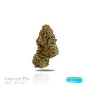 PUFFY Lemon Pie is a sativa-dominant hybrid THCa strain, born from the cross of Skunk #1 and Amnesia Haze. This strain boasts a sharp, sour aroma complemented by deep earthy undertones, creating a bold and invigorating scent profile. Visually, the buds are dense and chunky, generously coated in frosty trichomes, and display a vibrant bright green color with striking orange hairs. Consumers often report that it begins with an energetic, creative cerebral buzz that sparks focus and inspiration. As the effects