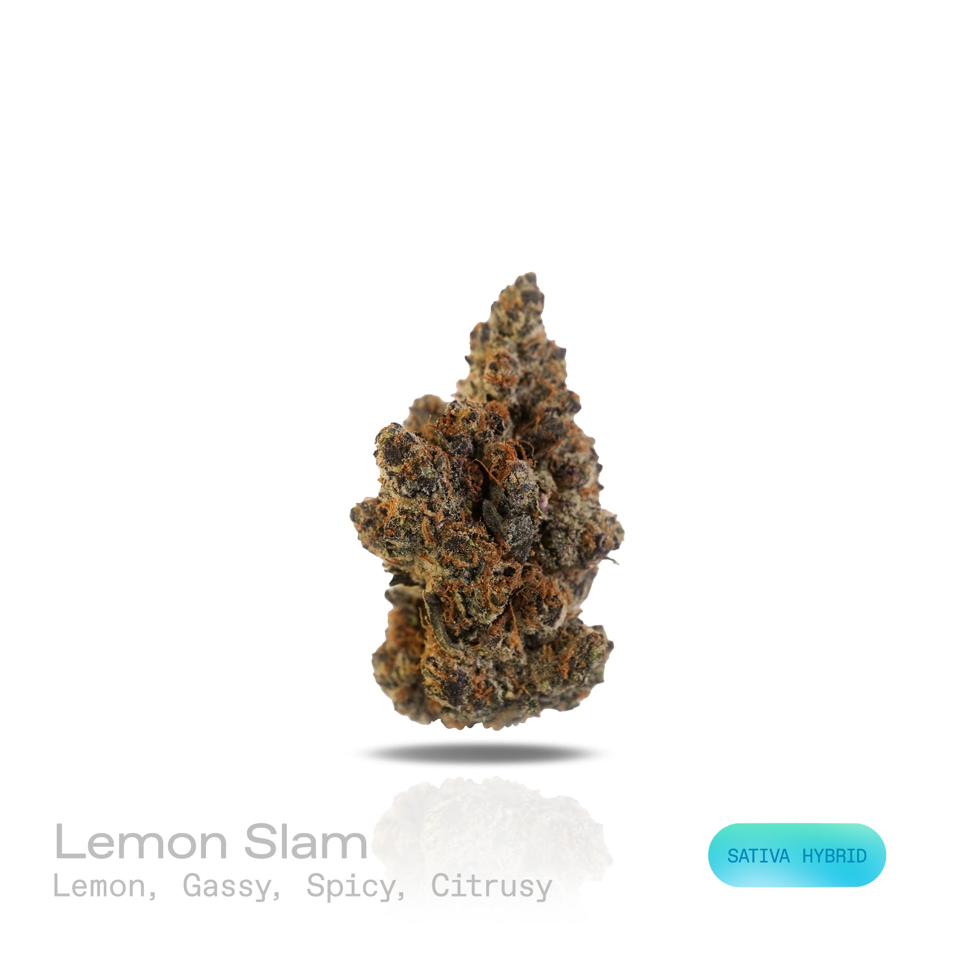 PUFFY Lemon Slam is a Sativa-dominant hybrid THCa strain crafted from a powerhouse cross of Gelonade × Oreo Blizzard. The aroma is a bold and vibrant blend of lemon, gassy notes, spicy undertones, and a refreshing citrusy finish, offering a complex and invigorating scent profile. Visually, the buds showcase a vibrant blend of light to deep green tones, coated in a dense layer of sparkling trichomes that create a frosty, jewel-like appearance. Consumers often describe the experience as a surge of vibrant ene