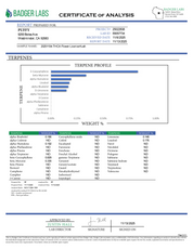 PUFFY Licorice Kush is an indica-dominant hybrid THCa strain, created by crossing the legendary AK‑47 with the renowned Hash Plant. The aroma opens with bright citrus notes, layered with rich woody undertones and a bold, pungent finish that commands attention. Visually, the buds are dense and forest-green, often adorned with vibrant orange pistils and a frosty layer of glistening trichomes. Consumers often report an initial euphoric lift, cerebral buzz, gradually followed by a relaxing, tingly body sensatio