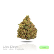 PUFFY Lilac Diesel is a balanced hybrid THCa strain, crafted from the legendary lineage of (Silver Lemon Haze × Forbidden Fruit) × (NYC Cherry Pie × Citral Glue). The aroma bursts with vibrant notes of zesty yuzu and fresh lime, layered over a sharp, chemical undertone that adds a bold, pungent edge. Visually, the dense buds display forest-green tones with deep purple hues, vibrant orange pistils, and a frosty trichome coating. Consumers often report feeling euphoric and uplifted, experiencing a wave of hap