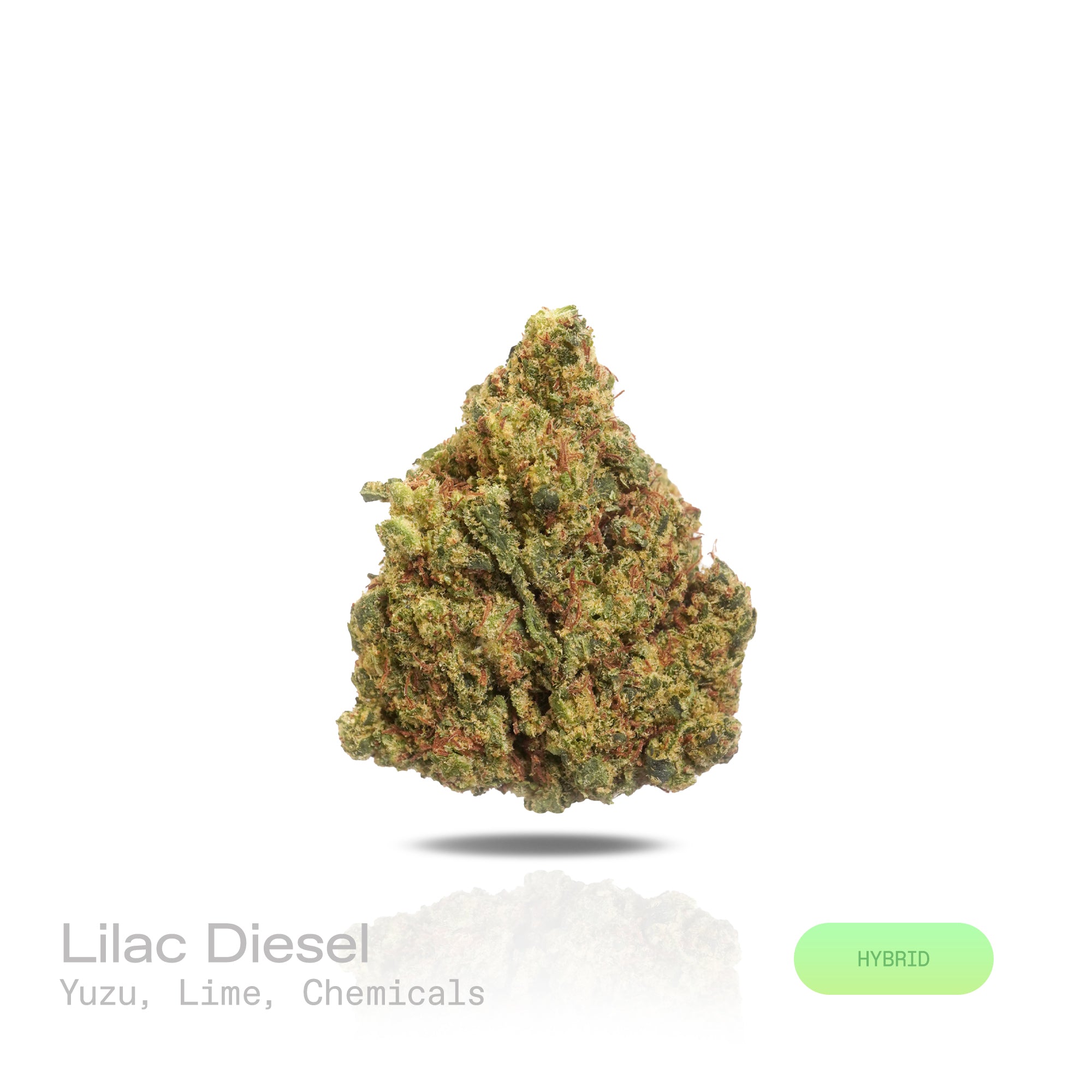 PUFFY Lilac Diesel is a balanced hybrid THCa strain, crafted from the legendary lineage of (Silver Lemon Haze × Forbidden Fruit) × (NYC Cherry Pie × Citral Glue). The aroma bursts with vibrant notes of zesty yuzu and fresh lime, layered over a sharp, chemical undertone that adds a bold, pungent edge. Visually, the dense buds display forest-green tones with deep purple hues, vibrant orange pistils, and a frosty trichome coating. Consumers often report feeling euphoric and uplifted, experiencing a wave of hap