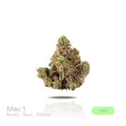 PUFFY MAC 1 (Miracle Alien Cookies) is a balanced hybrid THCa strain, born from the flavorful cross of Alien Cookies F2 with a Miracle 15. The aroma greets the senses with a musky base, zesty citrus highlights, and a sharp, sour edge. Visually captivating, the buds are thick and resinous, shimmering with frosty trichomes, while vibrant orange pistils thread through shades of dark green and purple. Consumers often report it delivers cerebral uplift and body relaxation, with effects that are euphoric, creativ