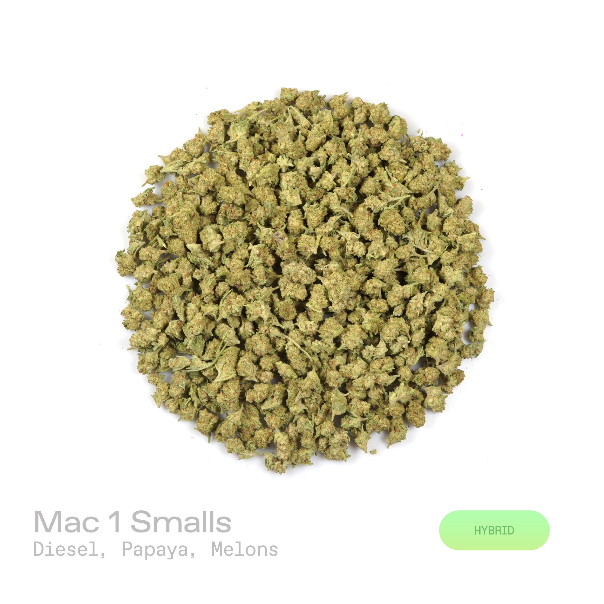 PUFFY MAC 1 (smalls) (Miracle Alien Cookies) is a balanced hybrid THCa strain, from the renowned pairing of Alien Cookies F2 with a Miracle 15. The aroma is a bold and intriguing blend of diesel, sweet papaya, and juicy melon, creating a vibrant and unforgettable scent experience. Visually captivating, the buds are thick and resinous, shimmering with frosty trichomes, while vibrant orange pistils thread through shades of dark green and purple. Consumers often report that it delivers euphoric cerebral uplift