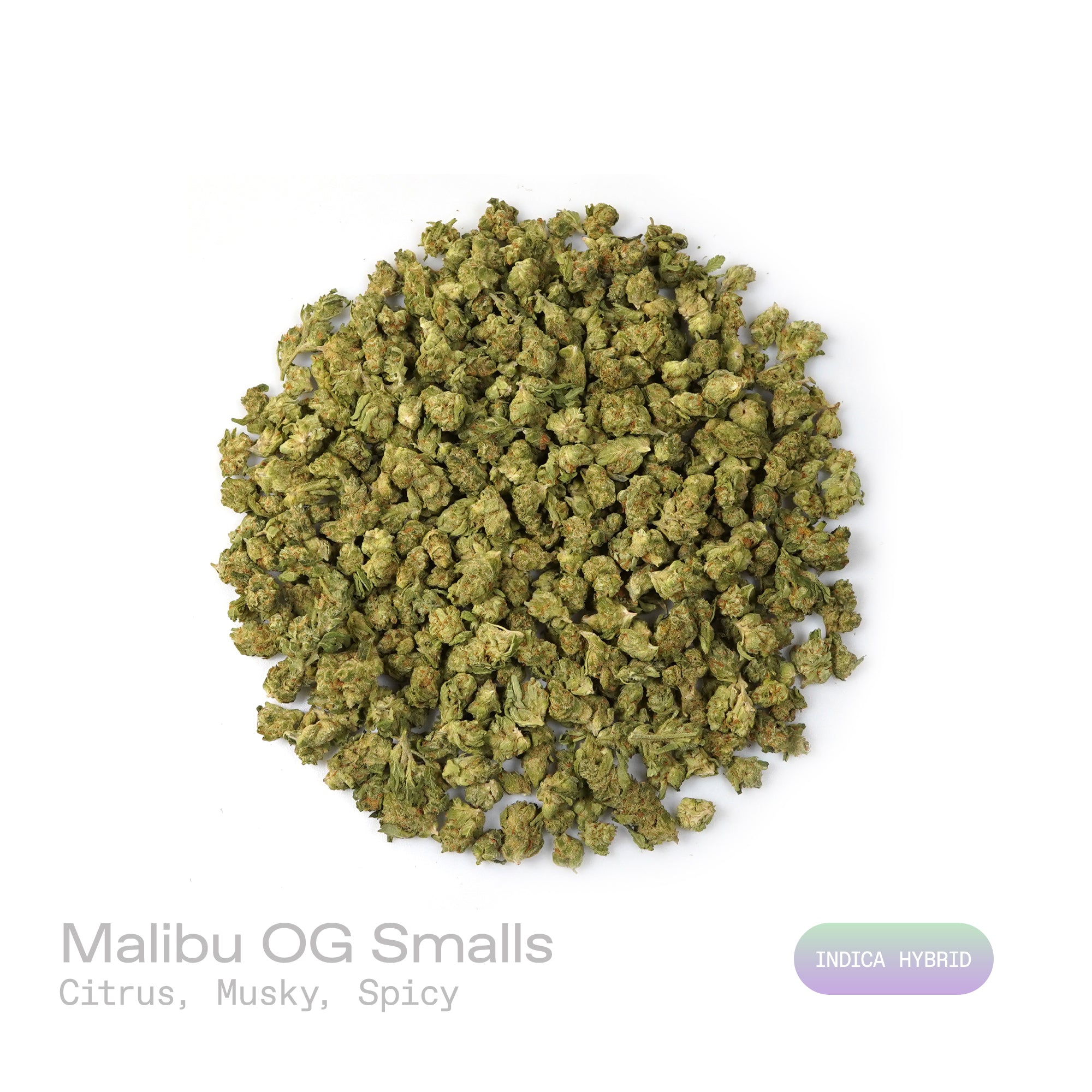 PUFFY Malibu OG (smalls) is an indica-dominant hybrid THCa strain, it is derived from a carefully selected phenotype of OG Kush genetics. The aroma is a vibrant blend of zesty citrus, earthy musk, and warm, spicy undertones. Visually, dense green buds with purple hues and fiery orange pistils are coated in sticky trichomes. Consumers often report feeling uplifted, energetic, and happy at lower to moderate doses, experiencing a relaxing and calming body ease