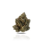 PUFFY Malibu Pure Kush is a soothing indica-dominant THCa strain born from the legendary Hindu Kush and an undisclosed parent strain. Known for its earthy, pungent aroma accented by hints of pine and subtle spice, Malibu Pure Kush delivers a rich and flavorful experience that appeals to seasoned cannabis enthusiasts. The flavor profile of Malibu Pure Kush mirrors its aroma, featuring earthy pine notes complemented by a gentle spiciness. The strain’s dominant terpene, myrcene, enhances its calming and relaxi