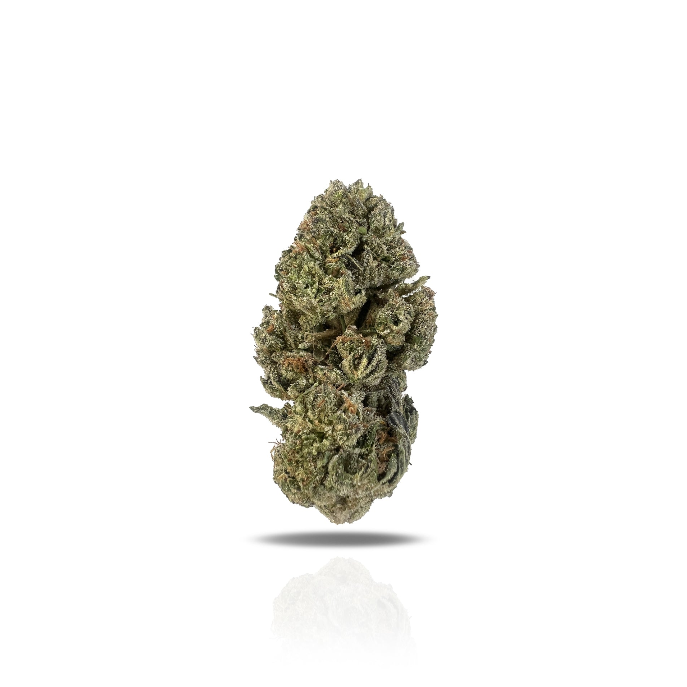 PUFFY Marathon OG is a potent indica-dominant hybrid THCa strain, crafted from the legendary OG Kush lineage, which includes either Chemdawg, Lemon Thai, or Hindu Kush. This strain boasts a rich, complex aroma that’s both earthy and gassy, while its flavor profile delivers a bold mix of pine, citrusy lemon, and spicy herbal notes. Visually, the buds are dense and deep forest green, accented by darker undertones, vivid bright orange pistils, and a thick coating of frosty white trichomes, signaling its high p