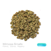 PUFFY Mimosa (smalls) is a sativa-dominant hybrid THCa strain, crafted from the legendary lineage of Clementine and Purple Punch. The aroma opens with delicate floral notes, bright citrus accents, and a subtle, spicy peppery finish. Visually, the buds are dense with rich green and purple hues, accented by vibrant orange pistils and a sparkling coating of trichomes. Consumers often report a cerebral high that is uplifting, happy, and energetic, often accompanied by gentle body relaxation, improved mood, redu