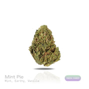PUFFY Mint Pie is an indica-dominant hybrid THCa strain, born from the renowned cross of Payton’s Pie and Ice Cream Mints. The aroma opens with refreshing mint, grounded by earthy undertones, and rounded out with a smooth hint of vanilla. Visually, the dense buds display deep forest-green with amber hues, vibrant orange pistils, and a generous coating of sparkling trichomes. Consumers often report a blissful, head-to-toe high that lifts the mind while melting tension from the body, perfect for unwinding or 