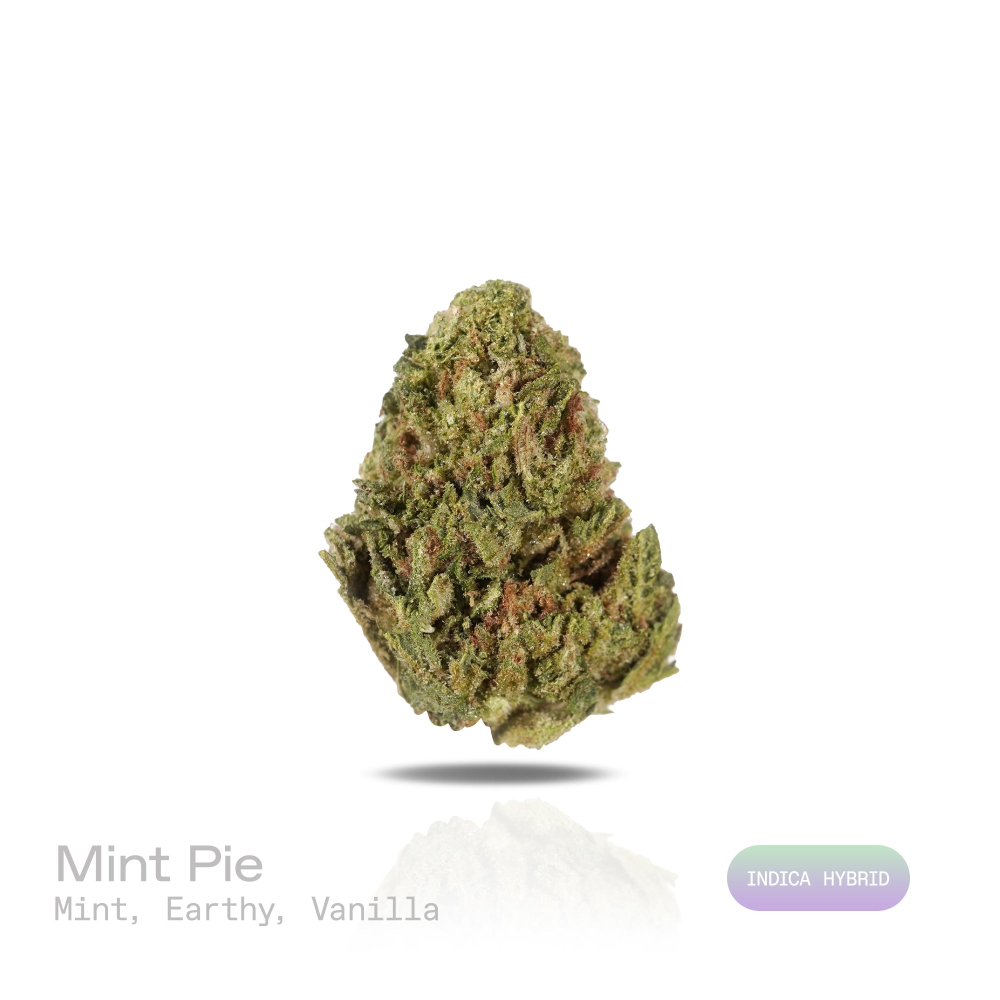 PUFFY Mint Pie is an indica-dominant hybrid THCa strain, born from the renowned cross of Payton’s Pie and Ice Cream Mints. The aroma opens with refreshing mint, grounded by earthy undertones, and rounded out with a smooth hint of vanilla. Visually, the dense buds display deep forest-green with amber hues, vibrant orange pistils, and a generous coating of sparkling trichomes. Consumers often report a blissful, head-to-toe high that lifts the mind while melting tension from the body, perfect for unwinding or 