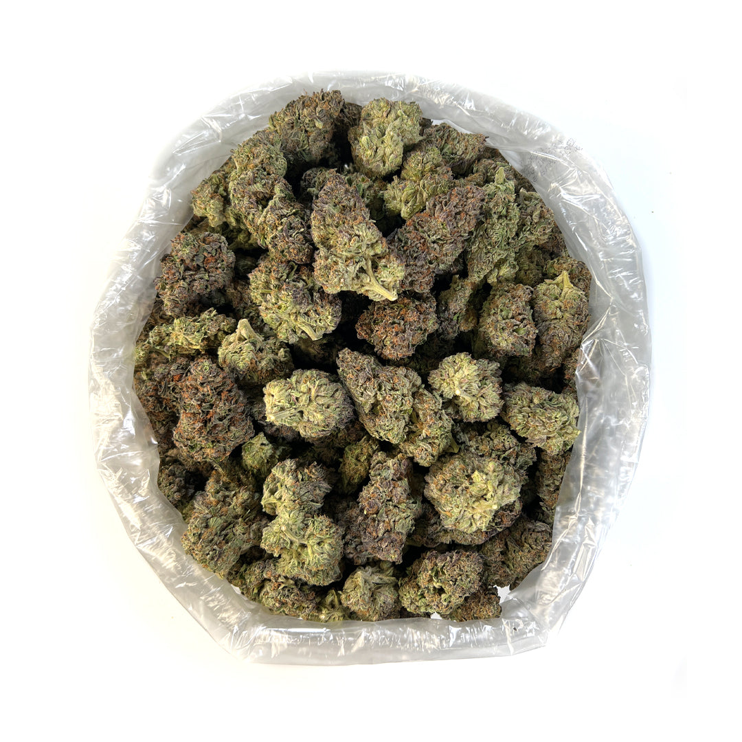 PUFFY Modified Grapes, or “Mod Grapes,” is a uniquely pungent THCa hybrid created from the cross between the famed GMO and Purple Punch. Its funky aroma is highlighted by spicy overtones comparable to that of black pepper. Modified Grapes owes its name to the fruity grape flavor profile that leaves a kick of distinctly spicy funk. This bright green flower features a large, chunky structure speckled with thin orange hairs, light purple shadows, dusted with a coat of translucent trichomes. Reported effects in