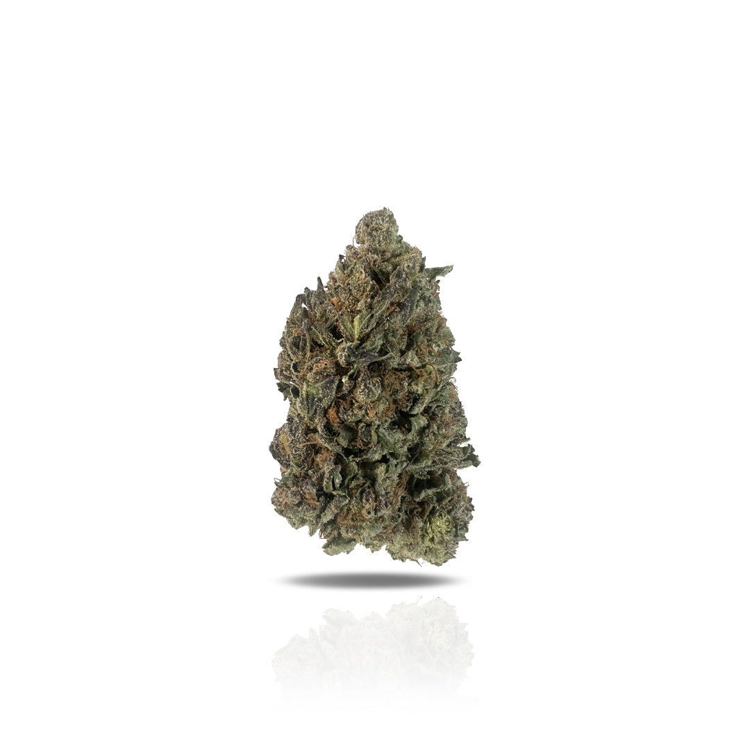 PUFFY Modified Grapes, or “Mod Grapes,” is a uniquely pungent THCa hybrid created from the cross between the famed GMO and Purple Punch. Its funky aroma is highlighted by spicy overtones comparable to that of black pepper. Modified Grapes owes its name to the fruity grape flavor profile that leaves a kick of distinctly spicy funk. This bright green flower features a large, chunky structure speckled with thin orange hairs, light purple shadows, dusted with a coat of translucent trichomes. Reported effects in