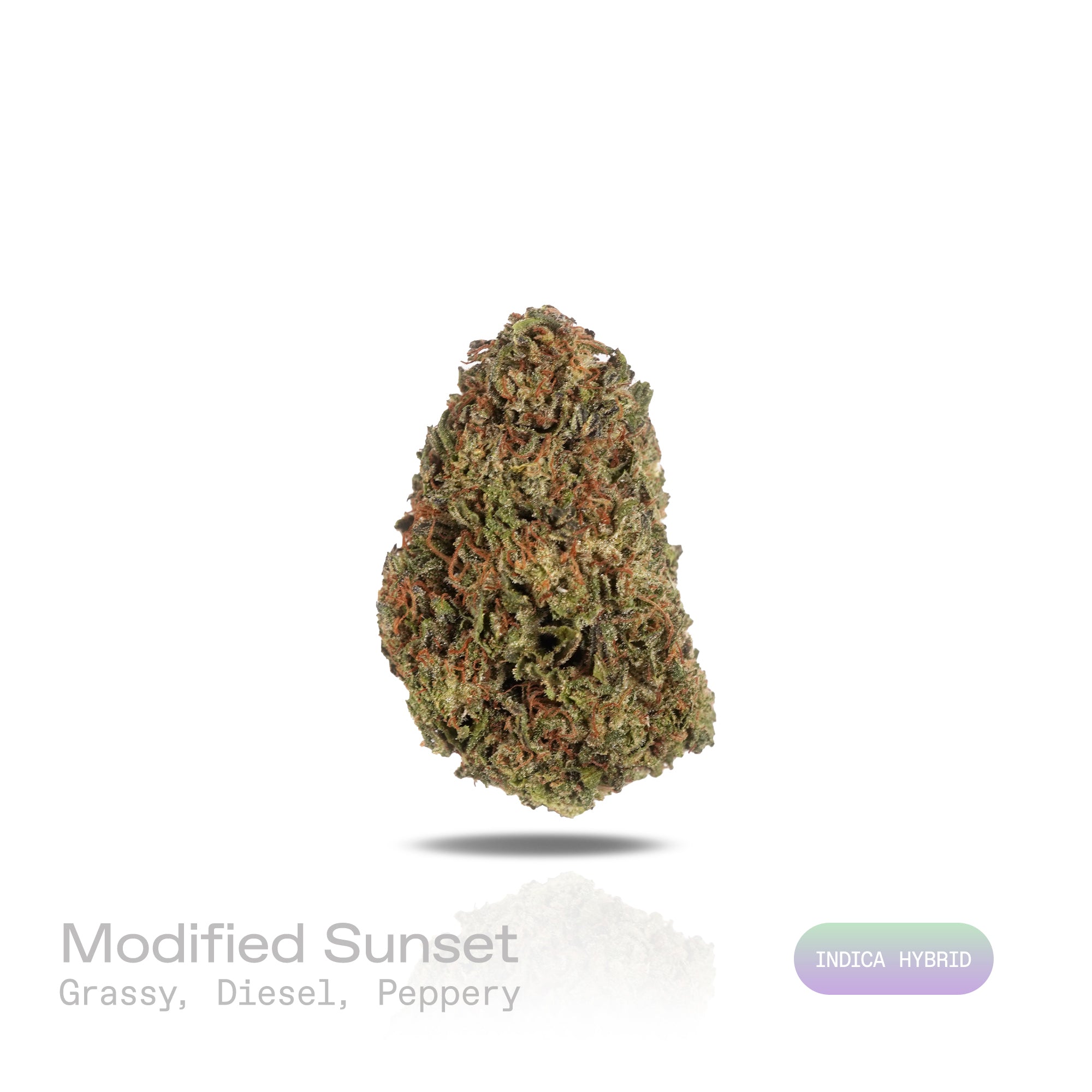 PUFFY Modified Sunset is an indica-dominant hybrid THCa strain, born from the iconic fusion of Sunset Sherbet and a carefully chosen hybrid. The aroma opens with sharp, earthy grassy notes, intertwined with pungent diesel undertones and a subtle, spicy peppery kick. Visually, the buds are dense, showcasing vibrant green hues with deep purple undertones, accented by bright orange pistils and enveloped in a thick, frosty layer of trichomes. Consumers often report an initial wave of smooth cerebral uplift pair