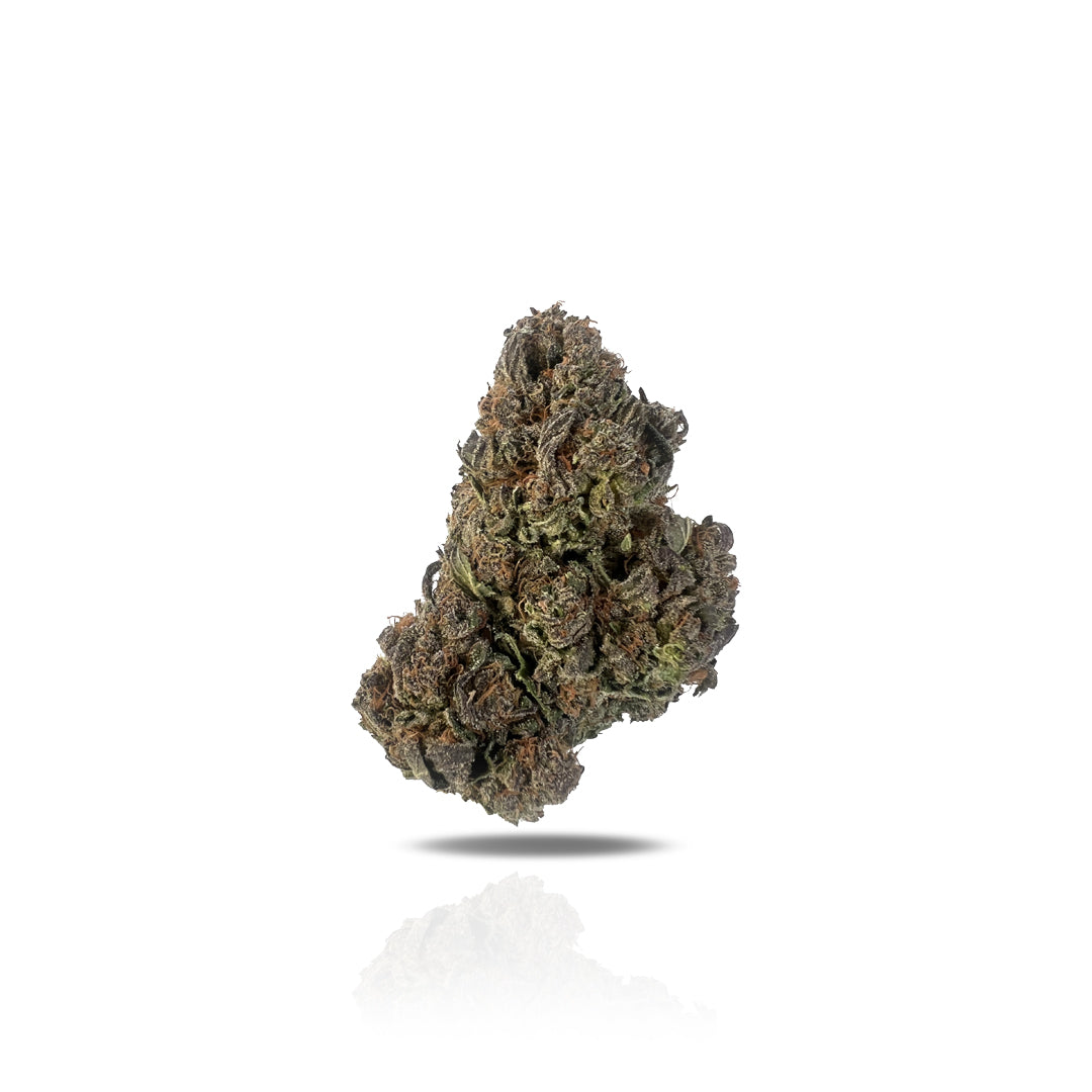 PUFFY Money Maker, also known as "Money Bush" and "Money Kush," is a powerful hybrid THCa strain crafted from three legendary old-school varieties. By combining the potency and resilience of Master Kush and Hindu Kush with the robust growth and sweet undertones of Skunk #1, this indica-dominant strain delivers a well-rounded experience. Its bold aroma is a striking blend of spiced berries and piney kush, while the flavor profile offers an earthy fusion of dried fruits and roasted nuts. Consumers claim that 