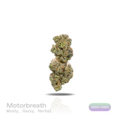 PUFFY Motorbreath is an indica-dominant hybrid THCa strain, born from the legendary cross of Chemdog and SFV OG Kush. The aroma is a rich blend of woody, gassy, and herbal notes, creating a distinctive and earthy scent that intrigues the senses. Visually, dense green buds with purple hues and fiery orange pistils are coated in sticky trichomes. Consumers often report a wave of relaxation and euphoria that helps them unwind after a long day, ease stress, elevate mood, and potentially soothe anxiety.