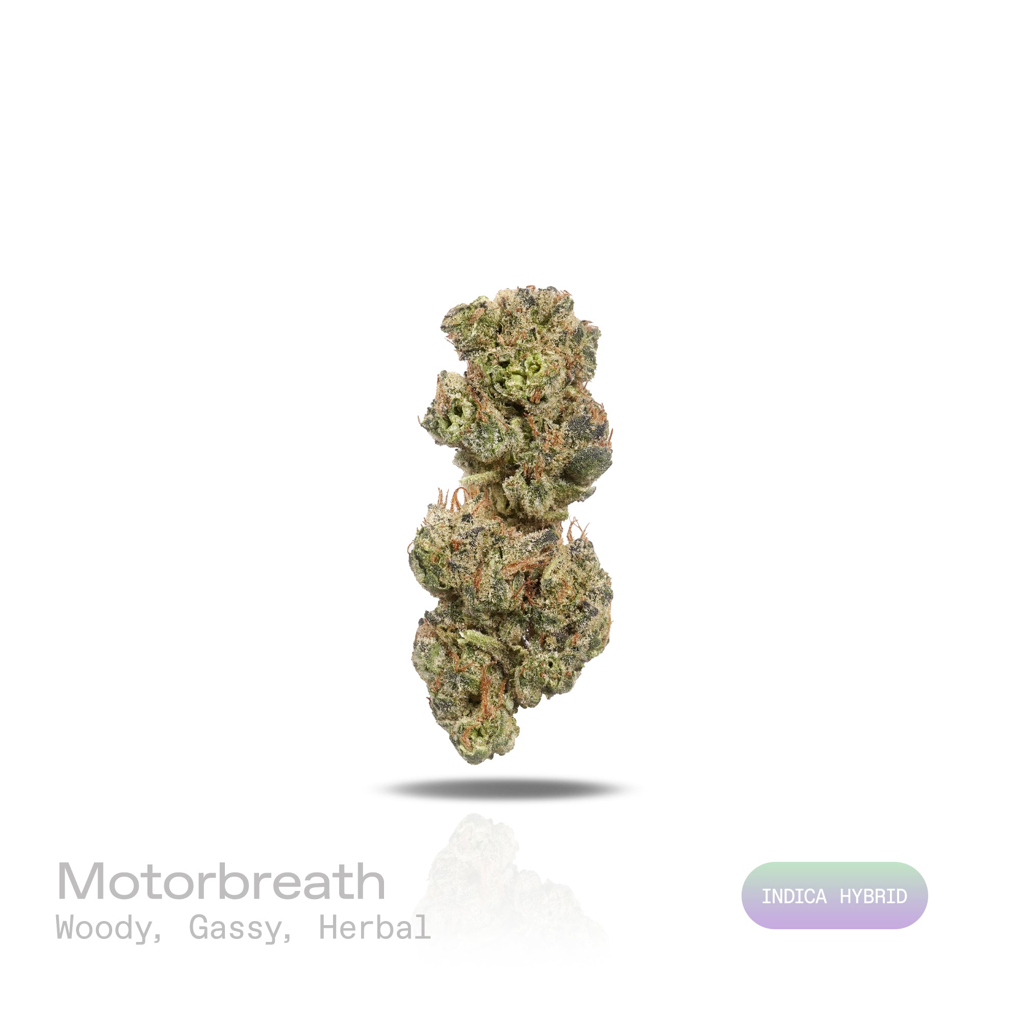 PUFFY Motorbreath is an indica-dominant hybrid THCa strain, born from the legendary cross of Chemdog and SFV OG Kush. The aroma is a rich blend of woody, gassy, and herbal notes, creating a distinctive and earthy scent that intrigues the senses. Visually, dense green buds with purple hues and fiery orange pistils are coated in sticky trichomes. Consumers often report a wave of relaxation and euphoria that helps them unwind after a long day, ease stress, elevate mood, and potentially soothe anxiety.