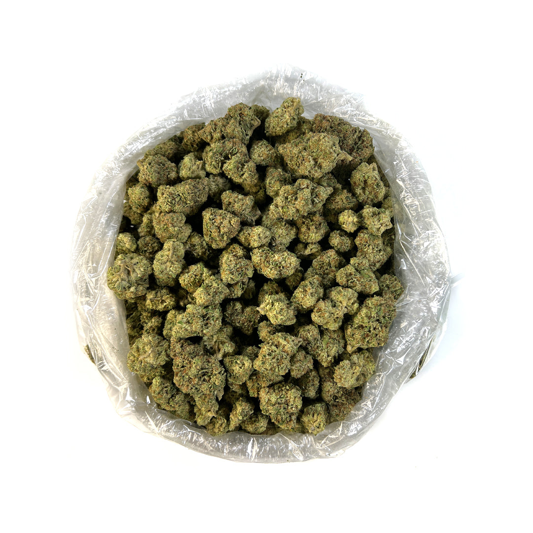 PUFFY Mule Fuel is a potent hybrid THCa strain, crafted from a genetic cross of Lurch and GMO Cookies. This strain boasts bold flavors of tobacco, chemical, and diesel, making it a favorite among those who enjoy robust, earthy profiles. The dominant terpene, terpinolene, contributes to its unique aroma and effects. Consumers report that Mule Fuel delivers deep relaxation, euphoria, and a sedative-like calm, making it an ideal choice for winding down or promoting restful sleep. Many turn to this strain for r